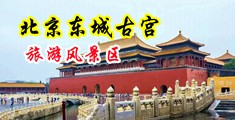 草美女的逼中国北京-东城古宫旅游风景区